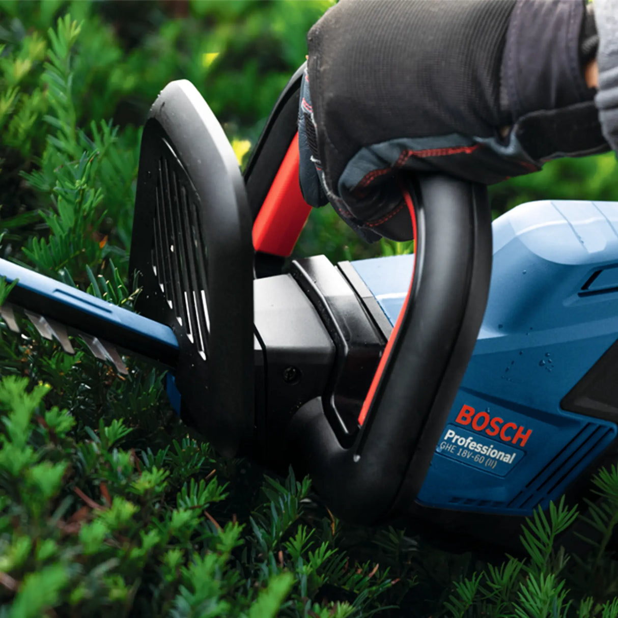taille-haie Bosch GHE 18V-60 II