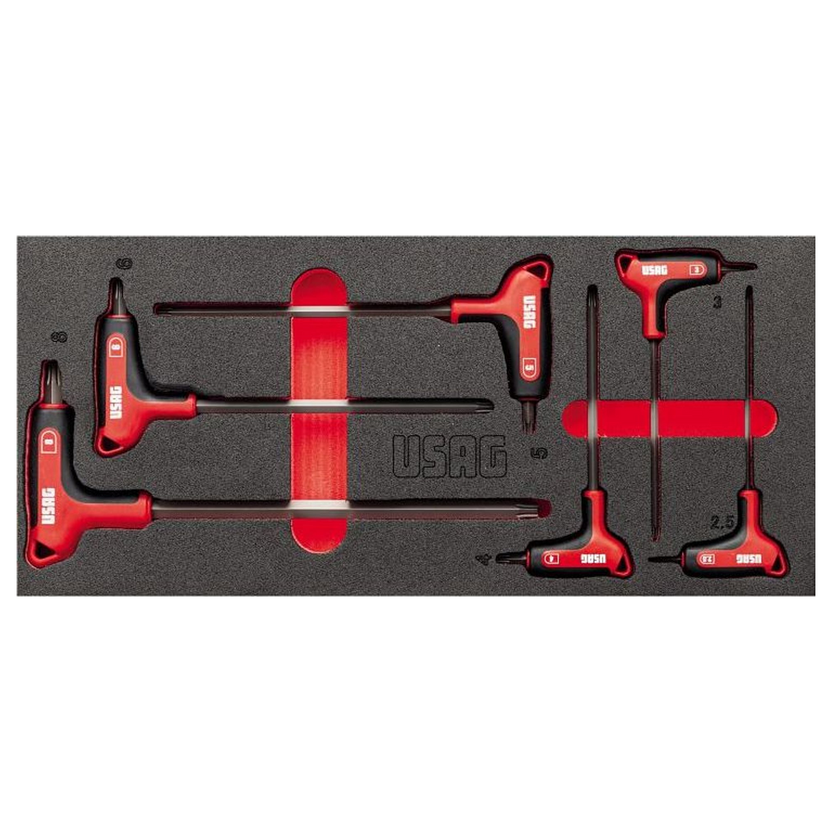 Modulo Spugna Bicolore Usag 519 M 280HX con 6 pezzi