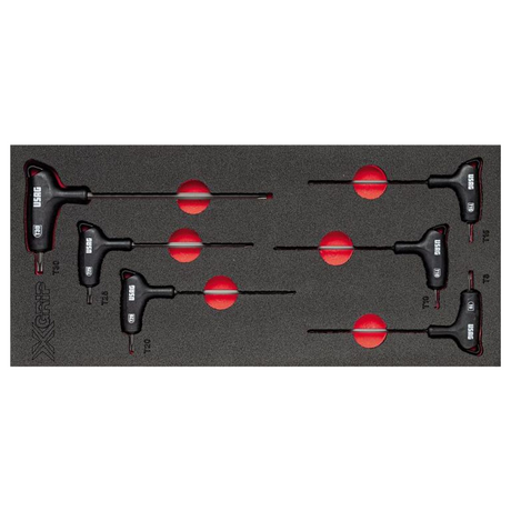 U05191066 - Module d'éponge bicolore assorti USAG 519 M 280HXTX (6 pièces)